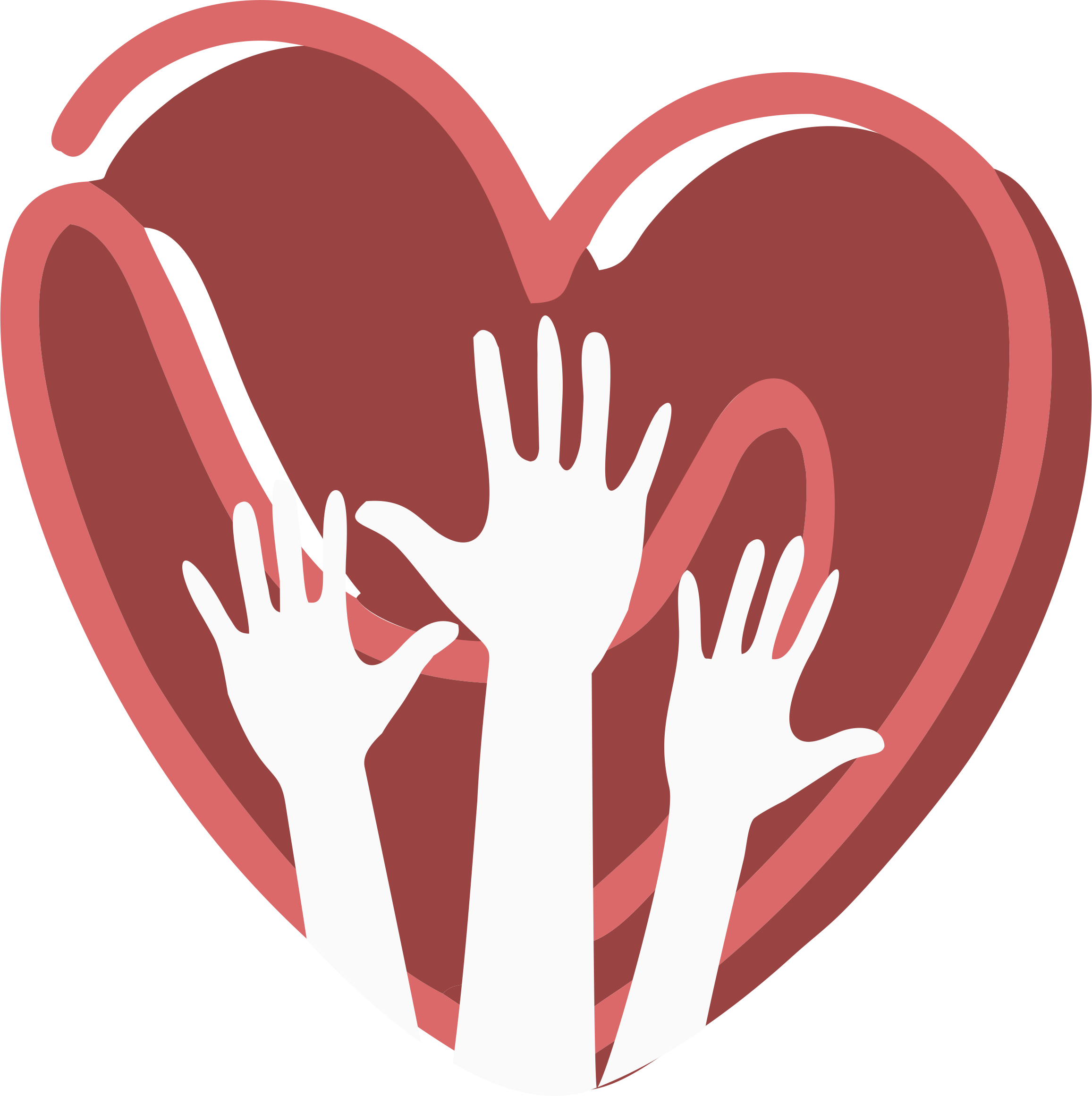 Mercy Foundation